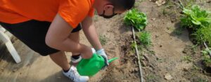 Scopri di più sull'articolo Orti e disabilità in Fattoria, con l’agricoltura sociale si migliora insieme